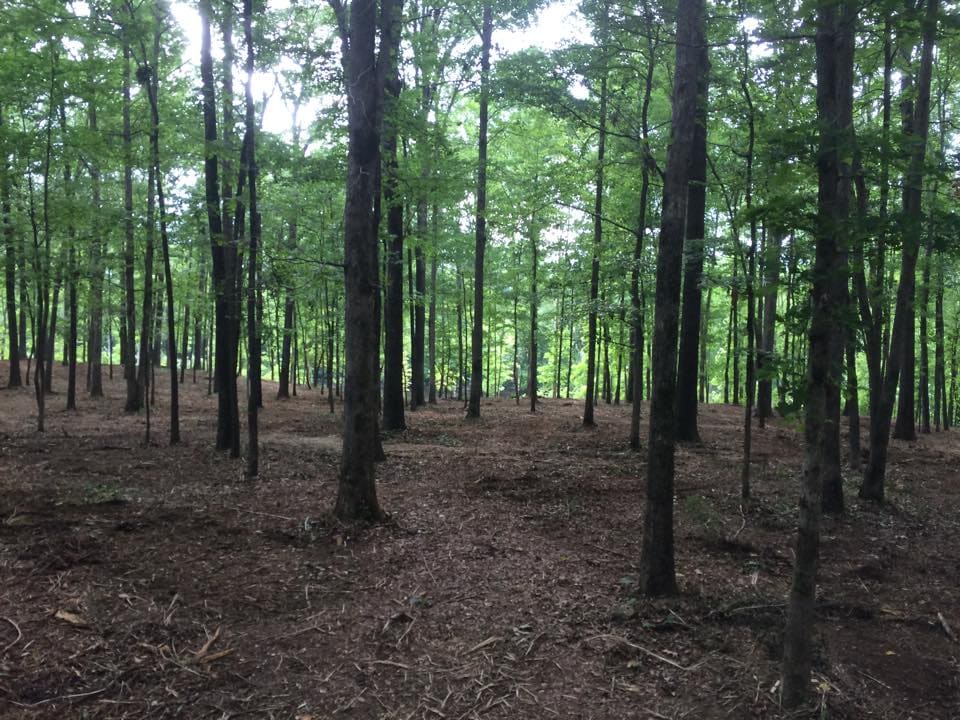 Myhand Services - Water Well Drilling, Land Clearing, & Bobcat Services  -  project or facility photo 4 of 5